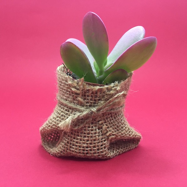 Suculenta en saco de Yute / Succulent Sack Jute - mod 01