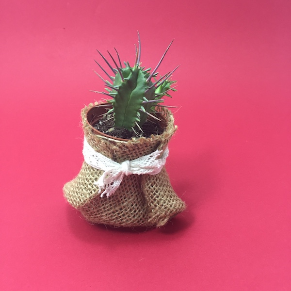 Cactus en saco con lazo / Cactus Sack Lace mod 8