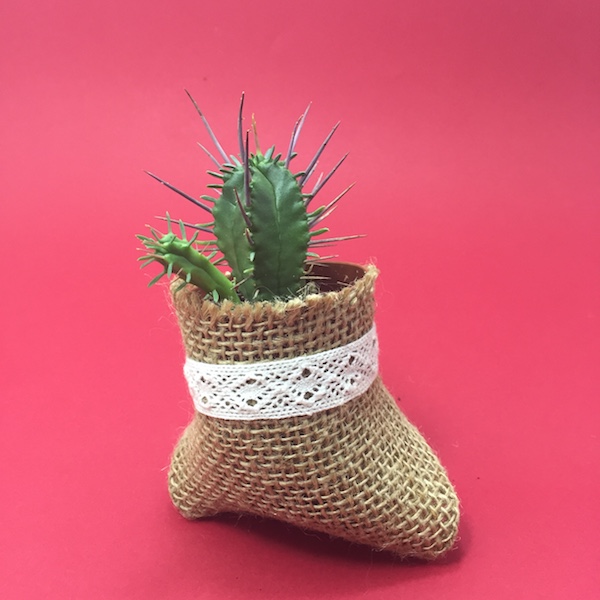 Cactus en saco con lazo / Cactus Sack Lace mod 8