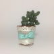 Cinderella Succulent Boho Chic Style