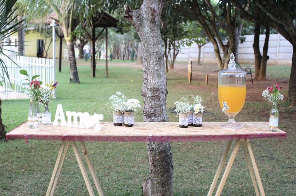 Decoración de jardines con cactus, suculentas y plantas crasas