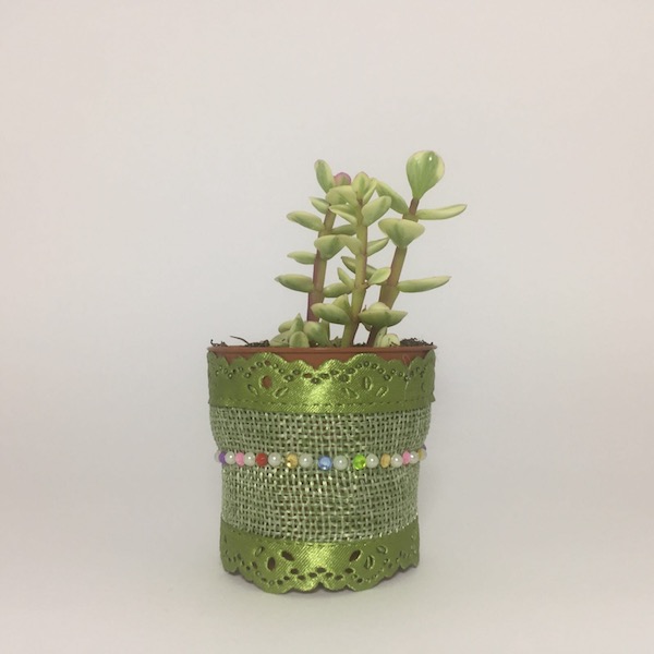 Fiona Succulent Boho Chic Style