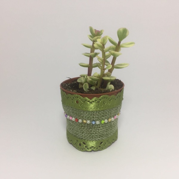 Fiona Succulent Boho Chic Style