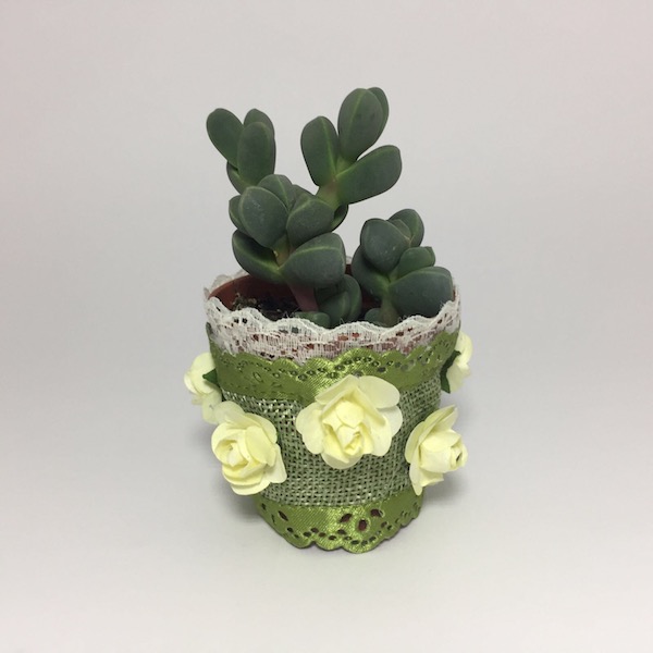 Jasmine Succulent Boho Chic Style