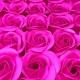 Rosas perfumadas / Perfumed Roses mod. 17